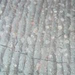 الکترود ضدسایش10um60 - تصویر 2